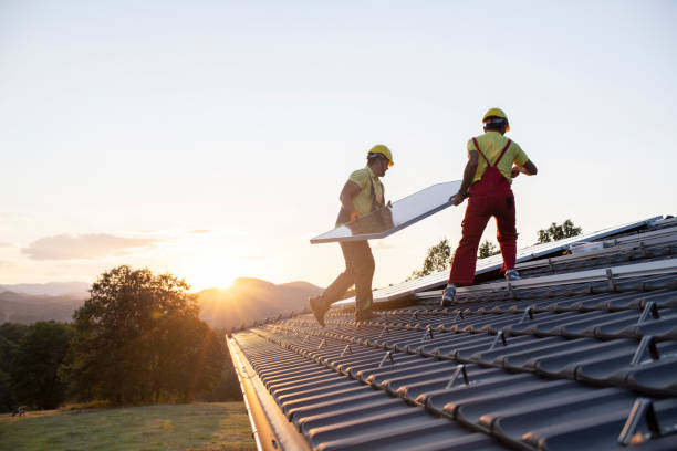 Best Storm Damage Roof Repair  in Brillion, WI